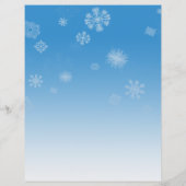 Sneeuwval Flyer (Achterkant)