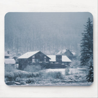 Sneeuwval in de Muismatten van de aspen