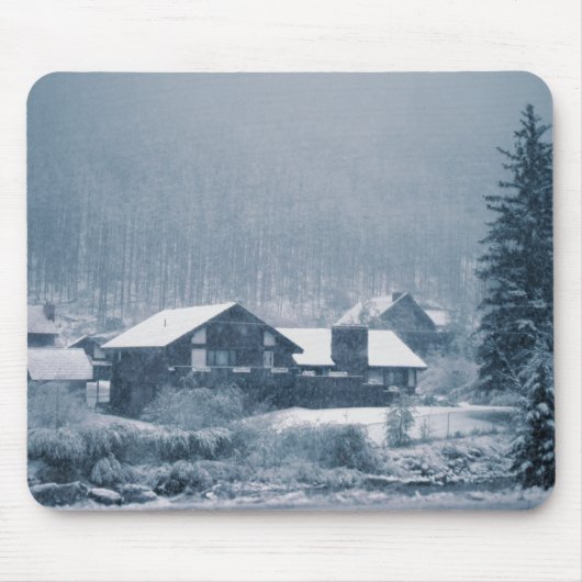 Sneeuwval in de Muismatten van de aspen (Voorkant)