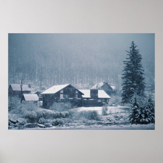 Sneeuwval in de Prints van de aspen (Voorkant)