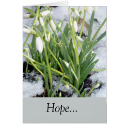 sneeuwval in de sneeuw