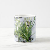 sneeuwval in de sneeuwzone Mok (Center)