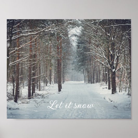 Sneeuwval in het winterbos poster (Voorkant)