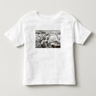 Sneeuwval in Portland Japanese Garden, 2 Kinder Shirts