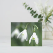 sneeuwval, van het collectie van de bloemengift briefkaart (Staand voorkant)