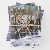 Sneeuwval Waterverf Inpakpapier Vel (In situ)