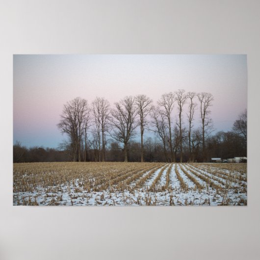 Sneeuwveld Foto Poster (Voorkant)