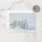 Sneeuwveld - notitiekaarten notitiekaartje (Voorkant / Achterkant in situ)