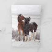 Sneeuwveulens Kerstkaart (Binnen)