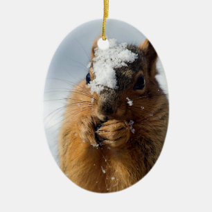 Sneeuwviaal Keramisch Ornament