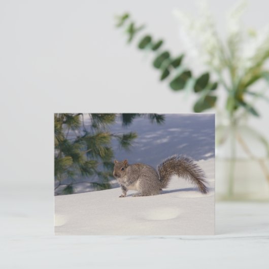 Sneeuwvierkant Briefkaart (Staand voorkant)