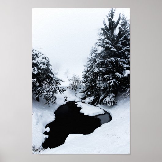 Sneeuwvijver en bomen die verdwijnen in mist poster (Voorkant)