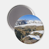 Sneeuwvlek op de Rocky Mountains Magneet (Voorkant / Achterkant)