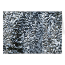 Sneeuwvloerstructuur
