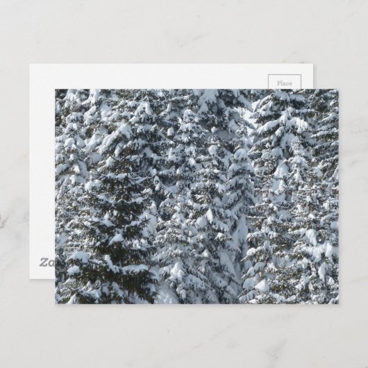 Sneeuwvloerstructuur Briefkaart (Voorkant / Achterkant)