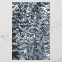 Sneeuwvloerstructuur