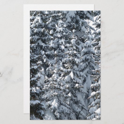 Sneeuwvloerstructuur Briefpapier (Voorkant / Achterkant)