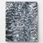 Sneeuwvloerstructuur Fotoplaat (Voorkant)