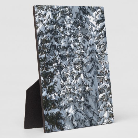 Sneeuwvloerstructuur Fotoplaat (Zijkant)