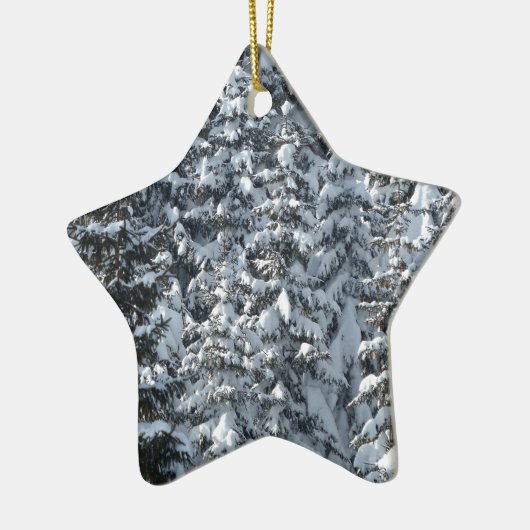 Sneeuwvloerstructuur Keramisch Ornament (Links)