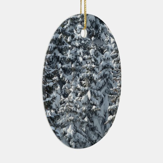 Sneeuwvloerstructuur Keramisch Ornament (Rechts)