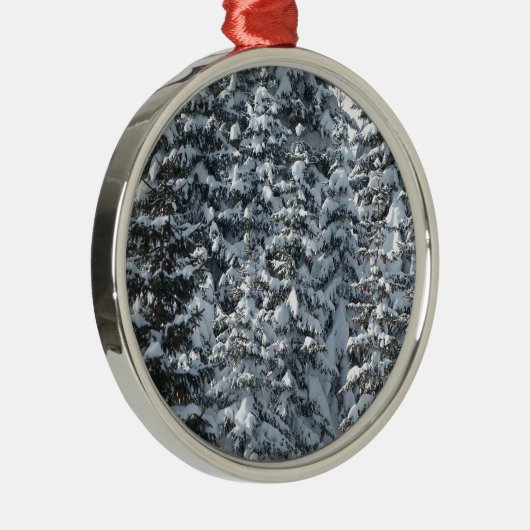 Sneeuwvloerstructuur Metalen Ornament (Rechts)