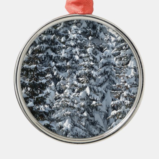 Sneeuwvloerstructuur Metalen Ornament (Voorkant)