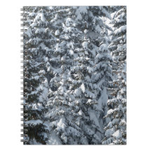 Sneeuwvloerstructuur