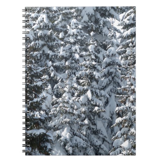 Sneeuwvloerstructuur Notitieboek (Voorkant)