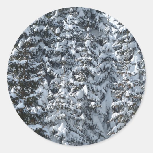 Sneeuwvloerstructuur Ronde Sticker (Voorkant)