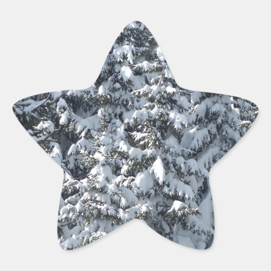 Sneeuwvloerstructuur Ster Sticker (Voorkant)