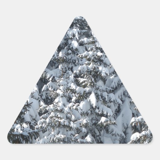 Sneeuwvloerstructuur Sticker (Voorkant)