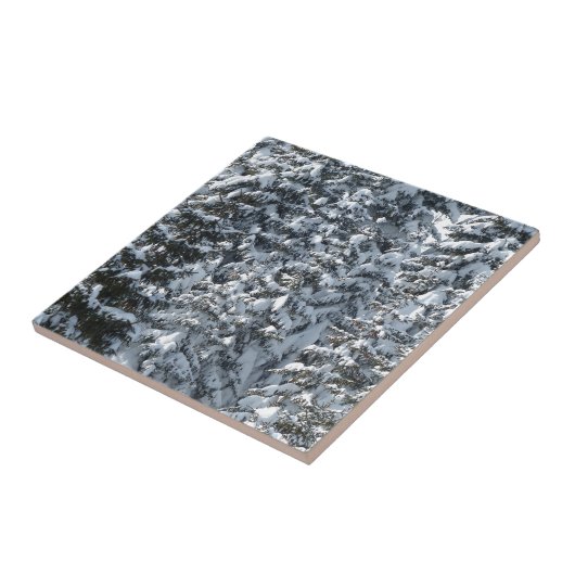 Sneeuwvloerstructuur Tegeltje (Zijkant)