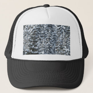 Sneeuwvloerstructuur Trucker Pet
