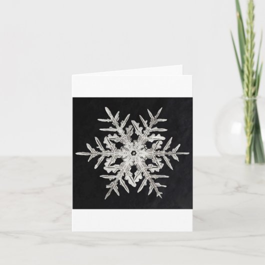 Sneeuwvlok 1 feestdagen kaart (Voorkant)