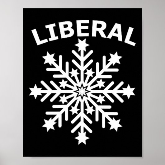 Sneeuwvlok Feministische Diversiteit Mensenrechten Poster (Voorkant)