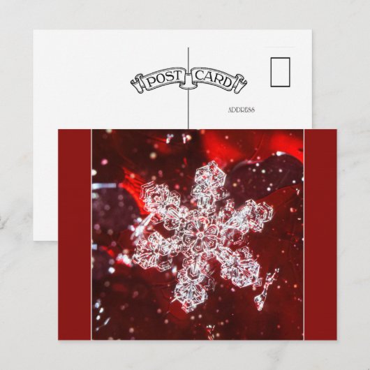 Sneeuwvlok foto briefkaart (Voorkant / Achterkant)