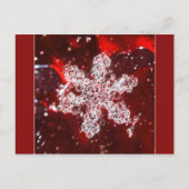 Sneeuwvlok foto briefkaart (Voorkant)