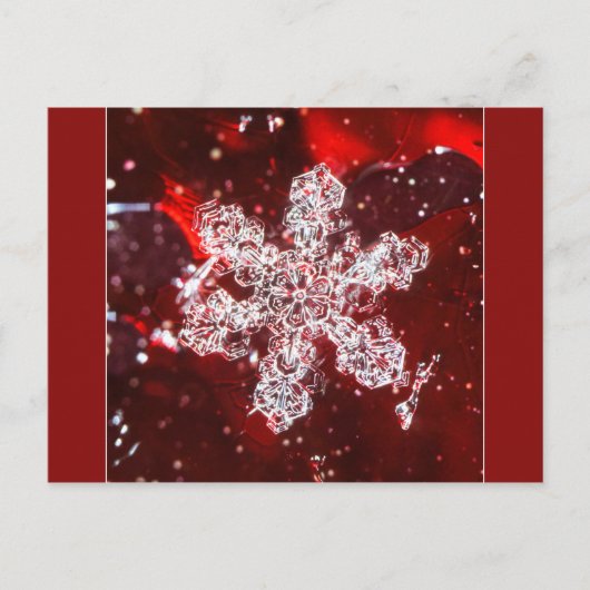 Sneeuwvlok foto briefkaart (Voorkant)