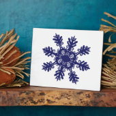 Sneeuwvlok II Fotoplaat (Zijkant)