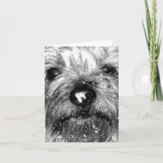 sneeuwvlok kaart (Voorkant)