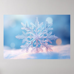 Sneeuwvlok Natuur Serene rustige rust Poster