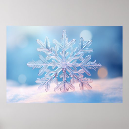 Sneeuwvlok Natuur Serene rustige rust Poster (Voorkant)