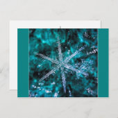 Sneeuwvlok op groene foto briefkaart (Voorkant / Achterkant)