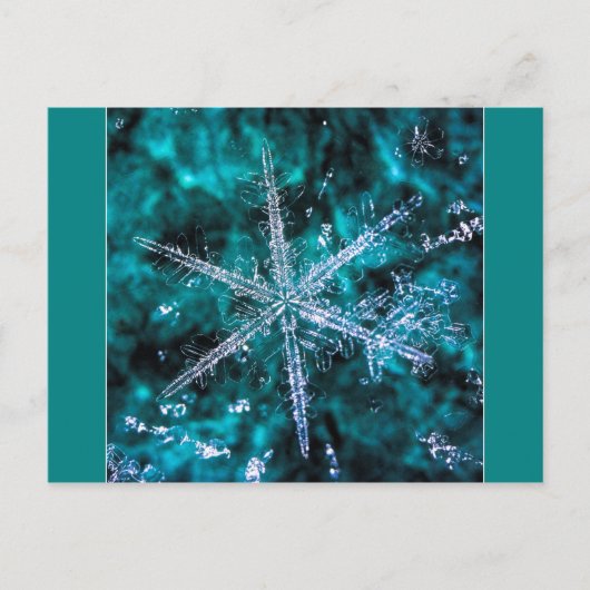 Sneeuwvlok op groene foto briefkaart (Voorkant)