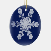 Sneeuwvlok Ornament 10 (Rechts)