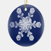 Sneeuwvlok Ornament 10 (Links)