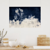 Sneeuwvlok Poster (Keuken)