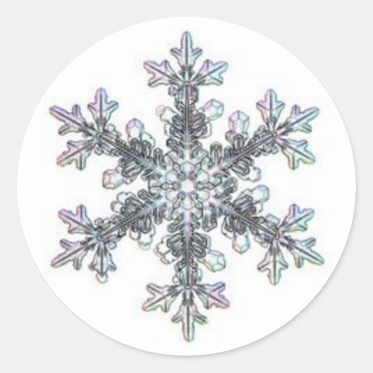 Sneeuwvlok Ronde Sticker (Voorkant)