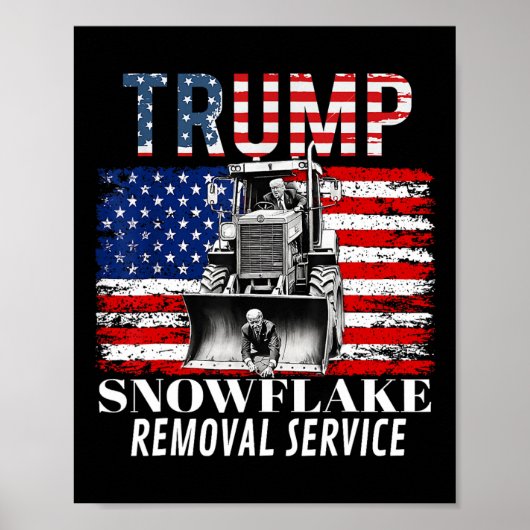 Sneeuwvlok Verwijdering Service Grappige Donald Tr Poster (Voorkant)